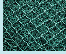 Inspection Consulting