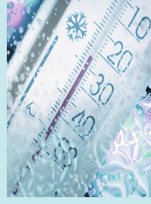 Puget Sound Inspections